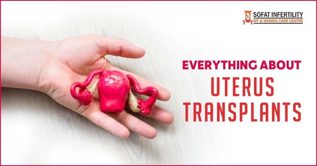 Everything about uterus transplants