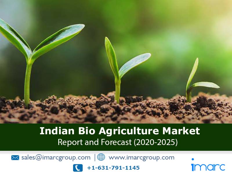 indian bio agriculture market