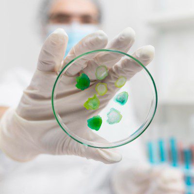 Bio Nematicides
