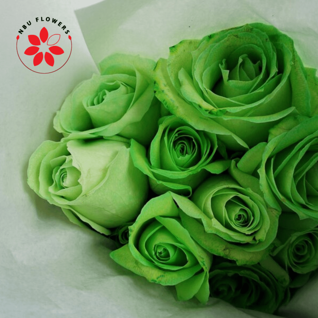 Fresh Cut Tinted Green Roses – Buy 12 Stems Online | Flower Explosion