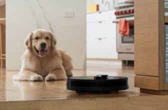 Why Your Next Vacuum Might Not Have a Cord