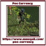 Learn About Various Concepts About Poe shop