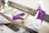 Conjugate vaccines Market Analysis by Key Companies and Manufacturing Scope and Trend Report 2019