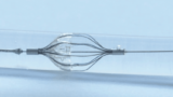 Embolic Protection Devices Market Gross Margin Analysis Considering Sales-Demand by Professional Prospects with Forecast 2023