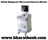 Global Diagnostic Ultrasound Devices Market Research Report – Forecast to 2019-2024