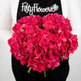 FiftyFlowers Provides the Best Hydrangeas in Bulk