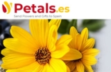 Christmas Gifts to Spain –Free Delivery Magnificent Flowers